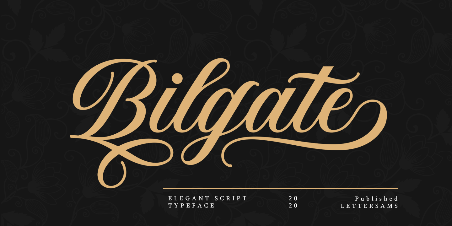 Пример шрифта Bilgate Script #1